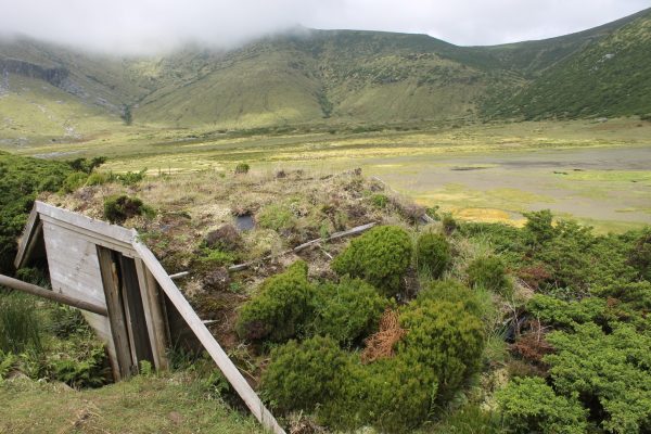 abrigo-de-birdwatching-lagoa-branca - Jorge Rocha