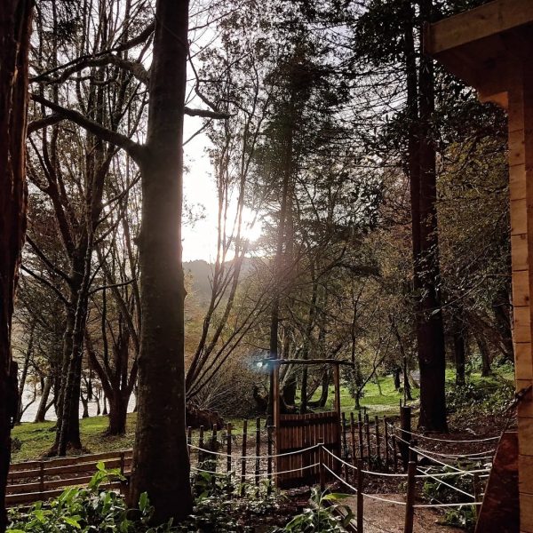 azores-treetop-park