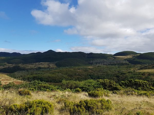 biscoito-da-ferraria-e-pico-alto-reserva-natural-geossitio