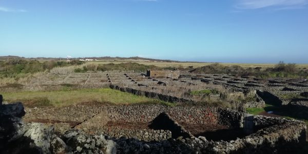 das-vinhas-ao-mar - Sofia Costa (PIT GRA)