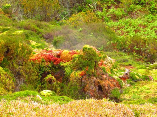 furnas-do-enxofre-monumento-natural-geossitio