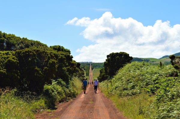 grande-rota-sao-jorge-02-ponta-dos-rosais-santo-amaro