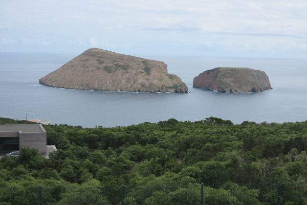 ilheus-das-cabras-area-protegida-para-a-gestao-de-habitats-ou-especies-geossitio