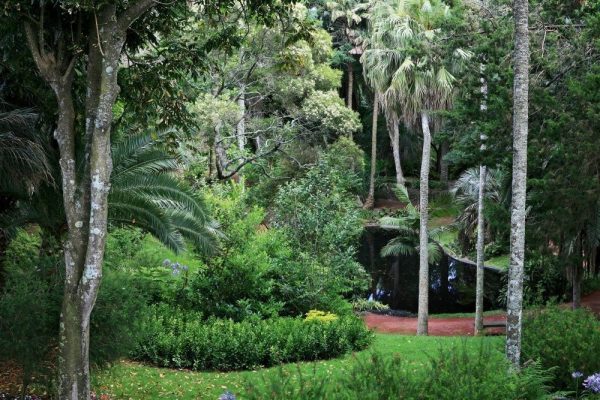 jardim-antonio-borges