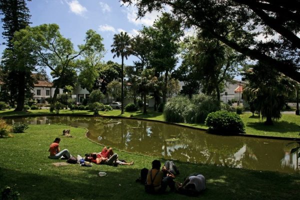 jardim-da-universidade-dos-acores