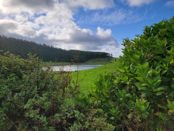 lagoa-de-sao-bras