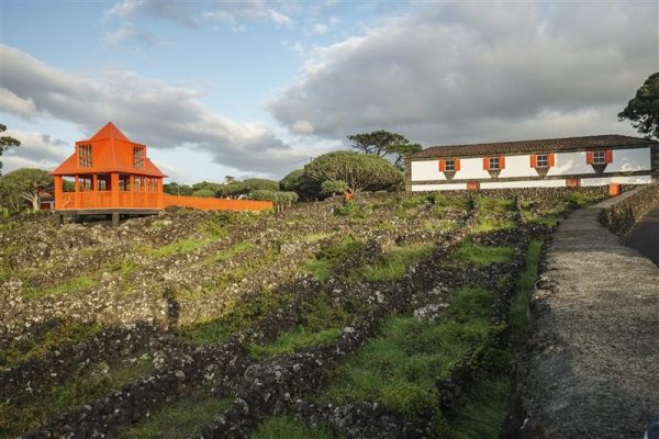 museu-do-vinho