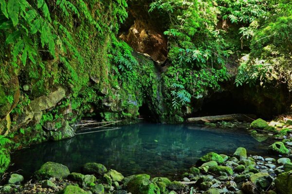 padrao-alminhas-salto-da-farinha