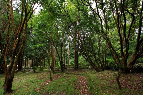 parque-florestal-do-cerrado-dos-bezerros