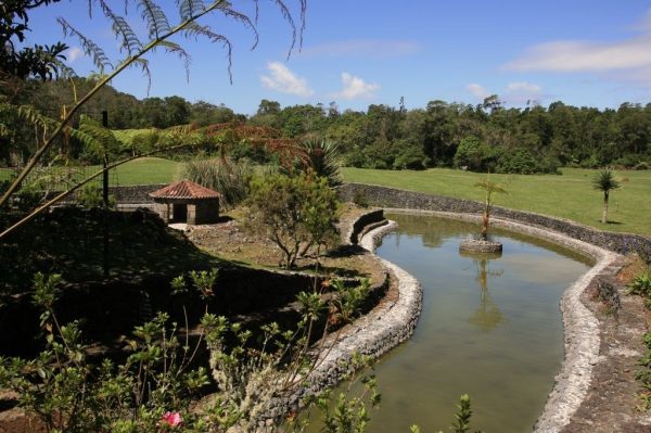 reserva-florestal-do-pinhal-da-paz