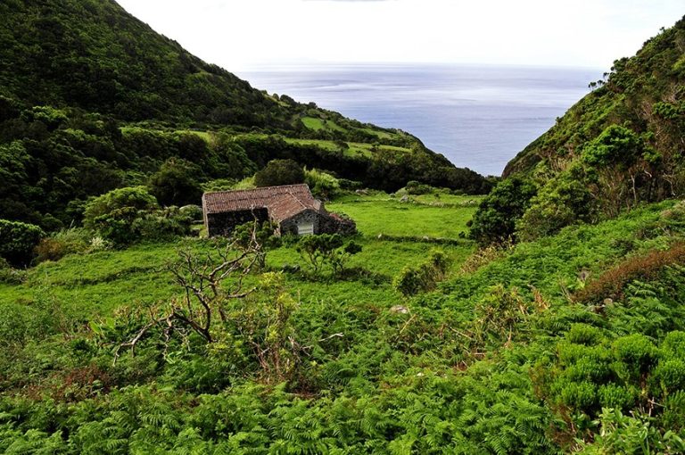 Fajã da Caldeira de Cima