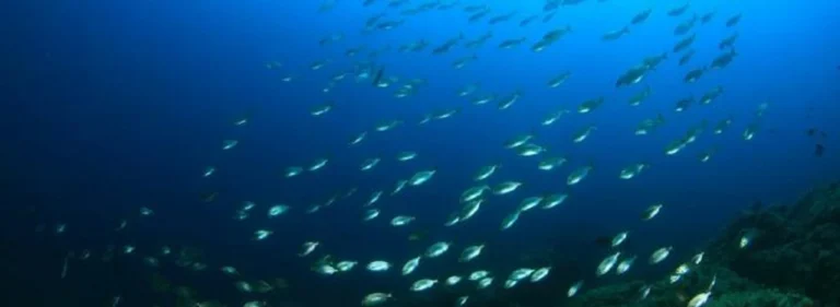 Arcadas do Porto Judeu